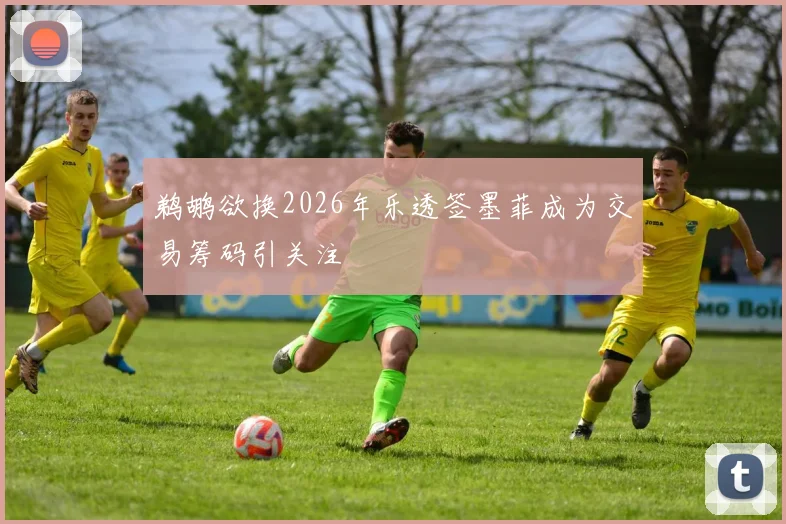 鹈鹕欲换2026年乐透签墨菲成为交易筹码引关注