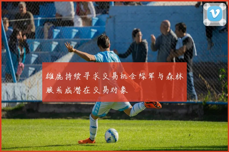 雄鹿持续寻求交易机会绿军与森林狼或成潜在交易对象