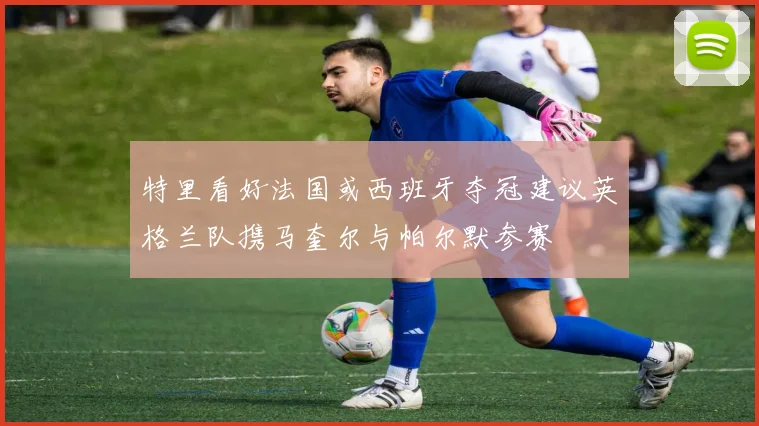 特里看好法国或西班牙夺冠建议英格兰队携马奎尔与帕尔默参赛